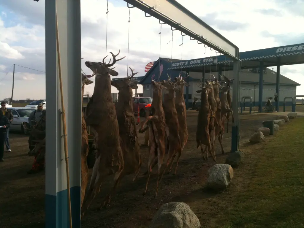 Buck Pole Opening Day of Deer Season