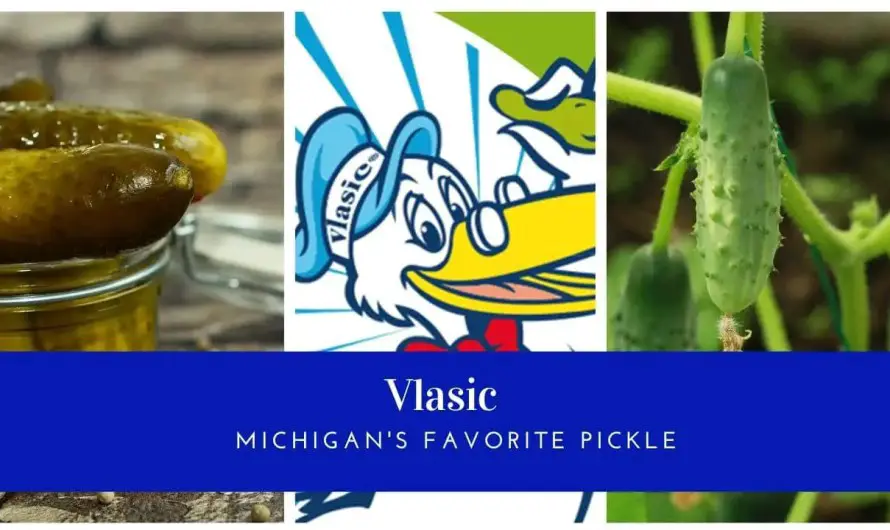 10 Pickle Companies In Michigan – Vlasic Pickle is Michigan’s Favorite Pickle