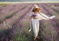 Lavender Farms in Michigan