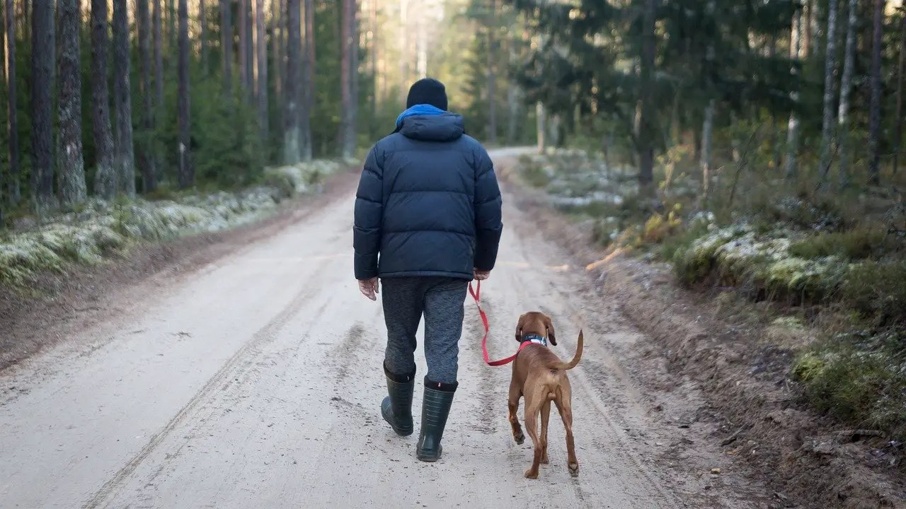 best dogs for hiking and camping