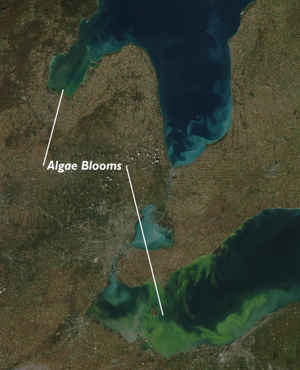 Saginaw Bay Algae Bloom - Great Lakes Algae