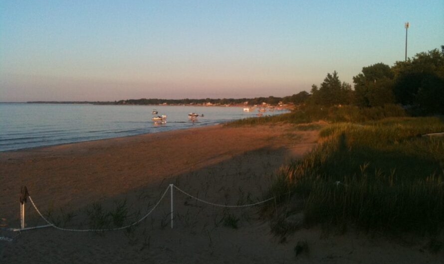 Great Lakes Pollution – Saginaw Bay Muck is Poop (#2)