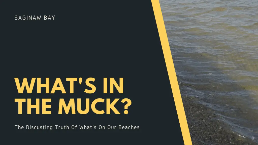 Lake Huron Muck