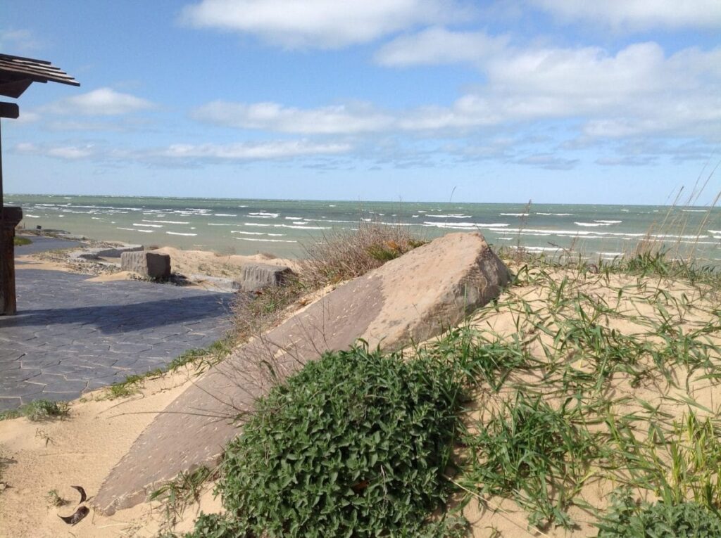 Saginaw Bay Beach - Huron County Beach Testing