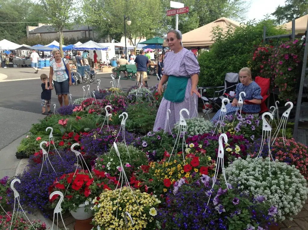 Port Austin Farm Market Flowers