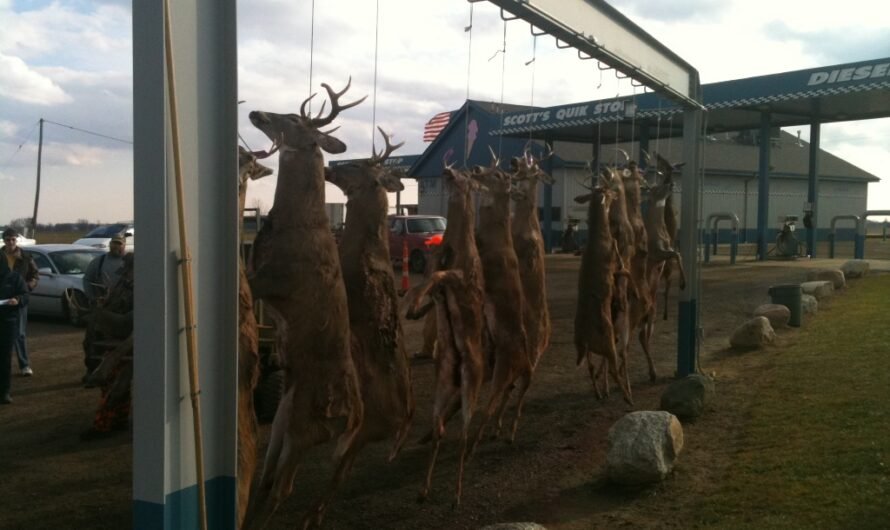 MDNR – Deer hunters can help families in need And win prizes