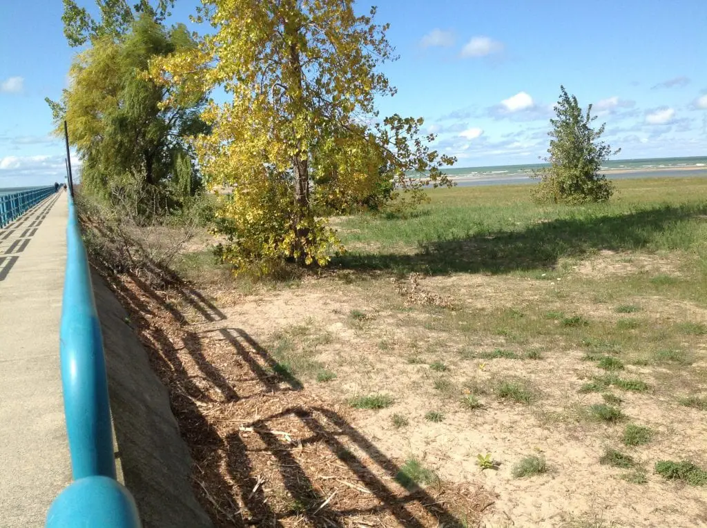 Caseville Harbor Breakwall Shows Trees Growing were Lake Was - Great Lakes Low Water Levels