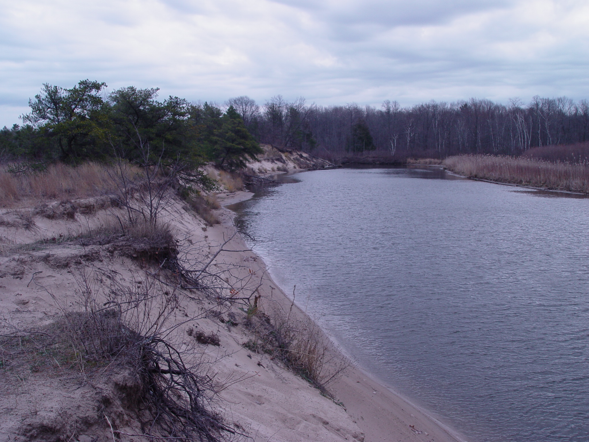 Port Cresent State Park River Bank