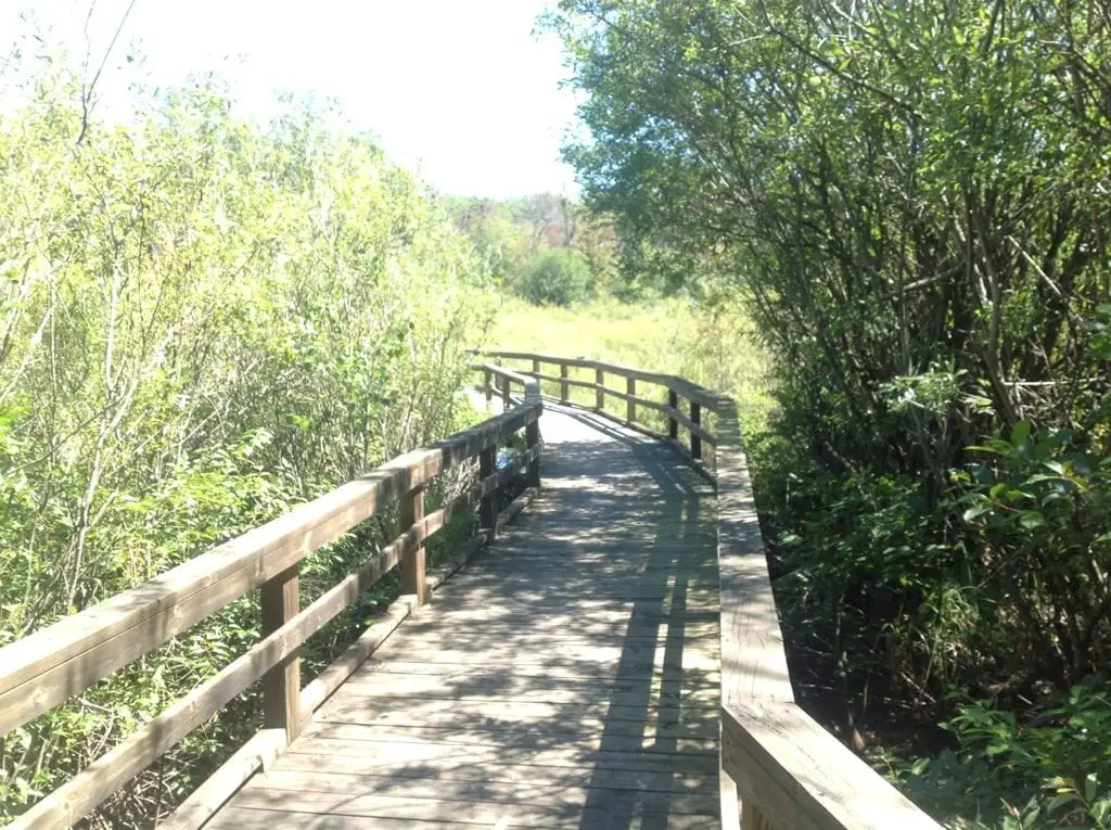 Huron Nature Center