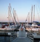 Sailing At Port in the Morning