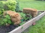 Straw Bale Gardening