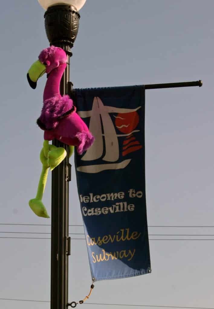 Street Signs at Cheeseburger in Caseville