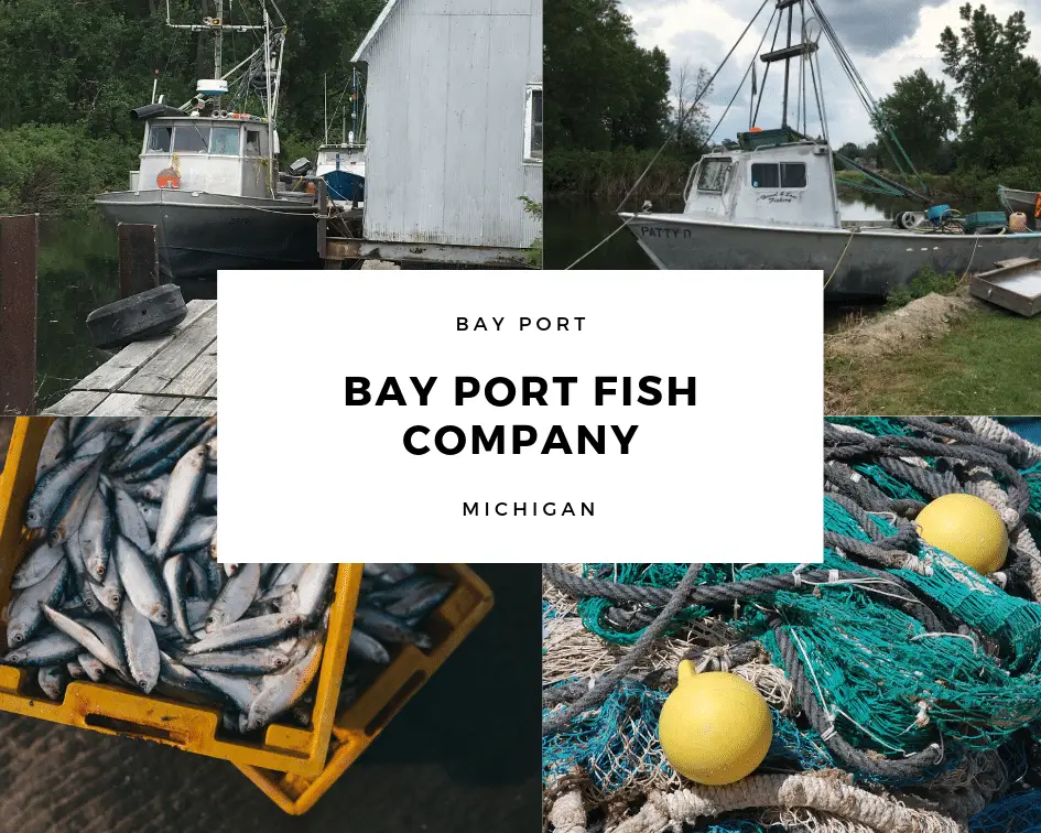 Bay Port Fish Company Reigns Over Saginaw Bay
