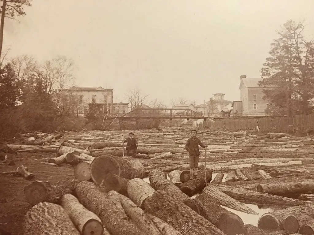 Lumbering in Caseville - Saginaw Bay Fishery