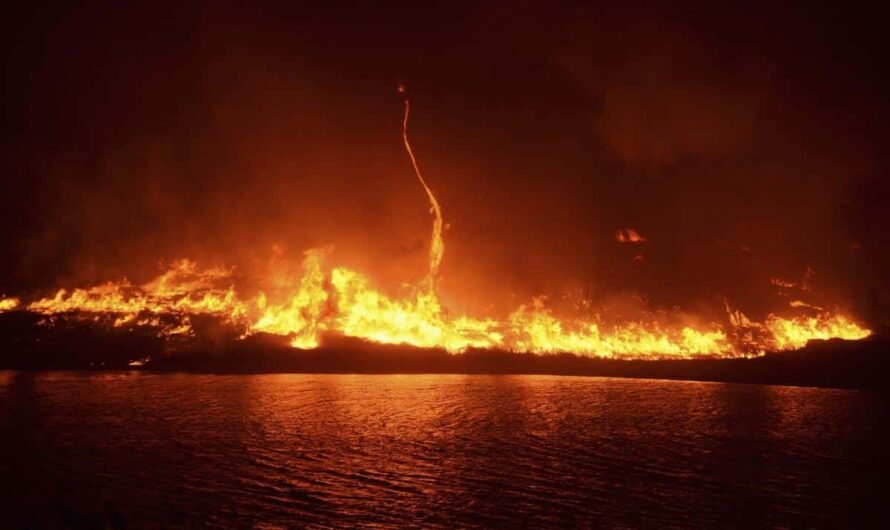 1881 Parisville Fire – Devastating blaze destroyed a town, and brought miracles