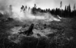 Forest Fire Smoking