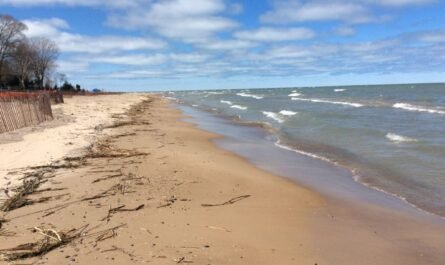 Beach on Saginaw Bay During Low Water in 2016