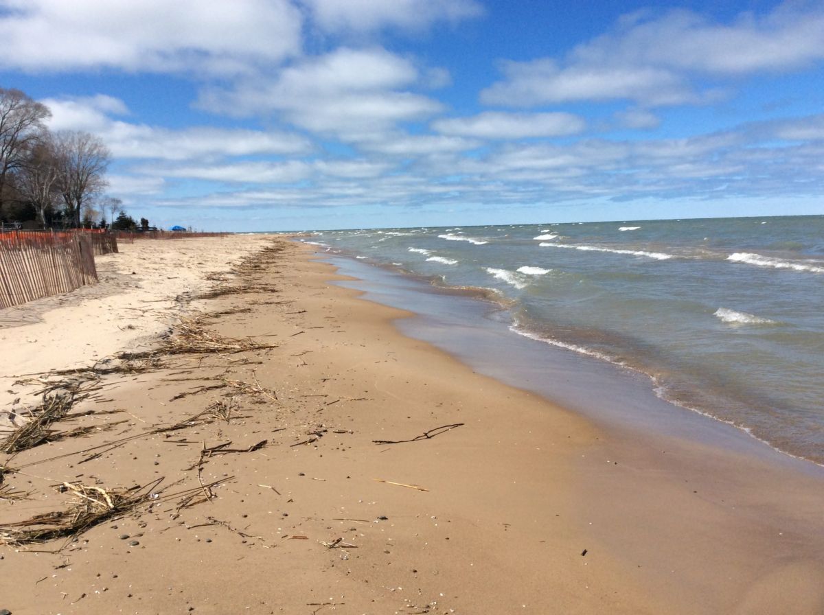 Beach on Saginaw Bay During Low Water in 2016