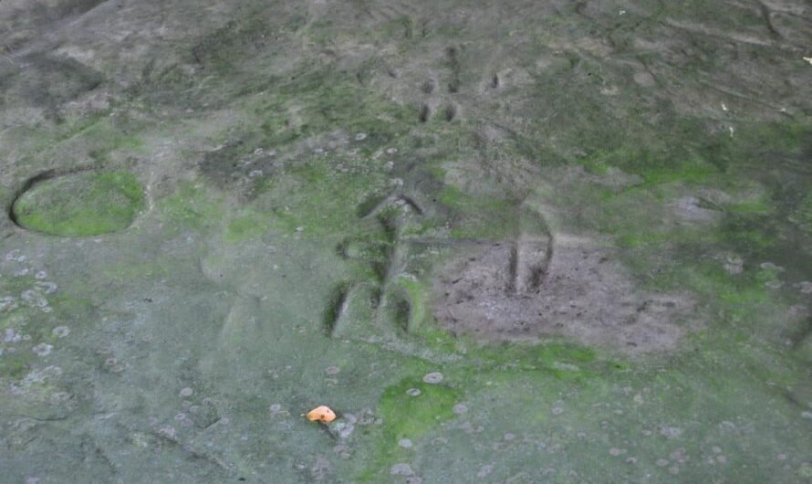 Sanilac Petroglyphs: 5 Stunning Facts About Michigan’s Sacred Native American Carvings