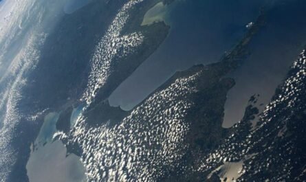 Michigan Thumb From Space