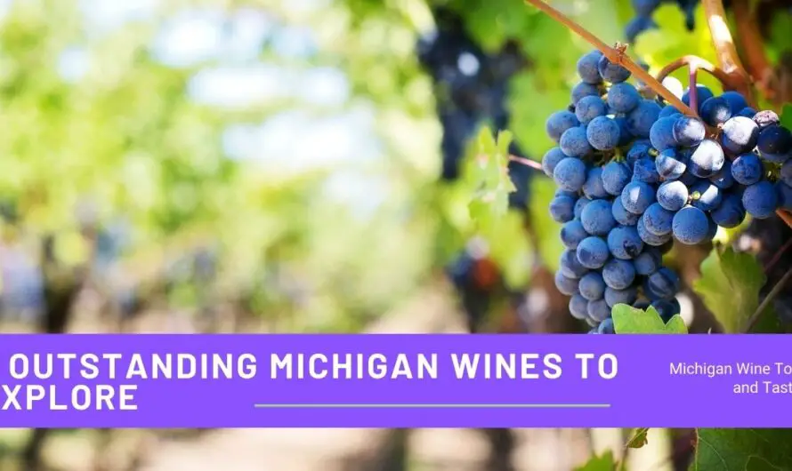 5 Outstanding Michigan Wines & Vineyards to Explore With Current Reviews