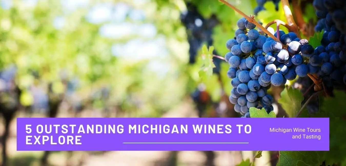 5 Outstanding Michigan Wines to Explore