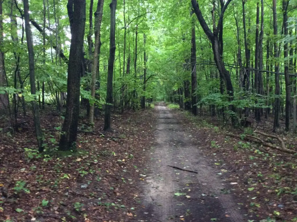 Michigan Indian Trail Sand Road - Native American Indain Trails