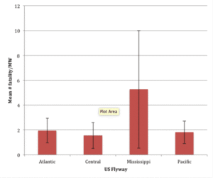 Migration Pathway for Birds