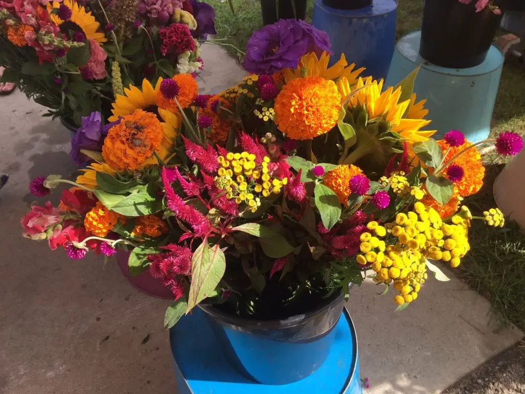 Port Austin Farmers Market Flowers