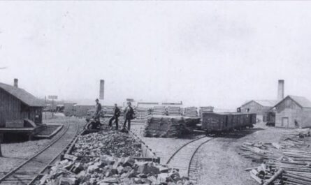 Crawford's Saw Mill Caseville 1880's