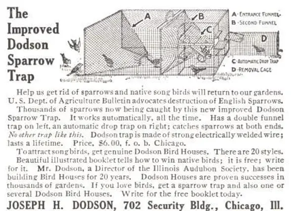 Control Asian Carp