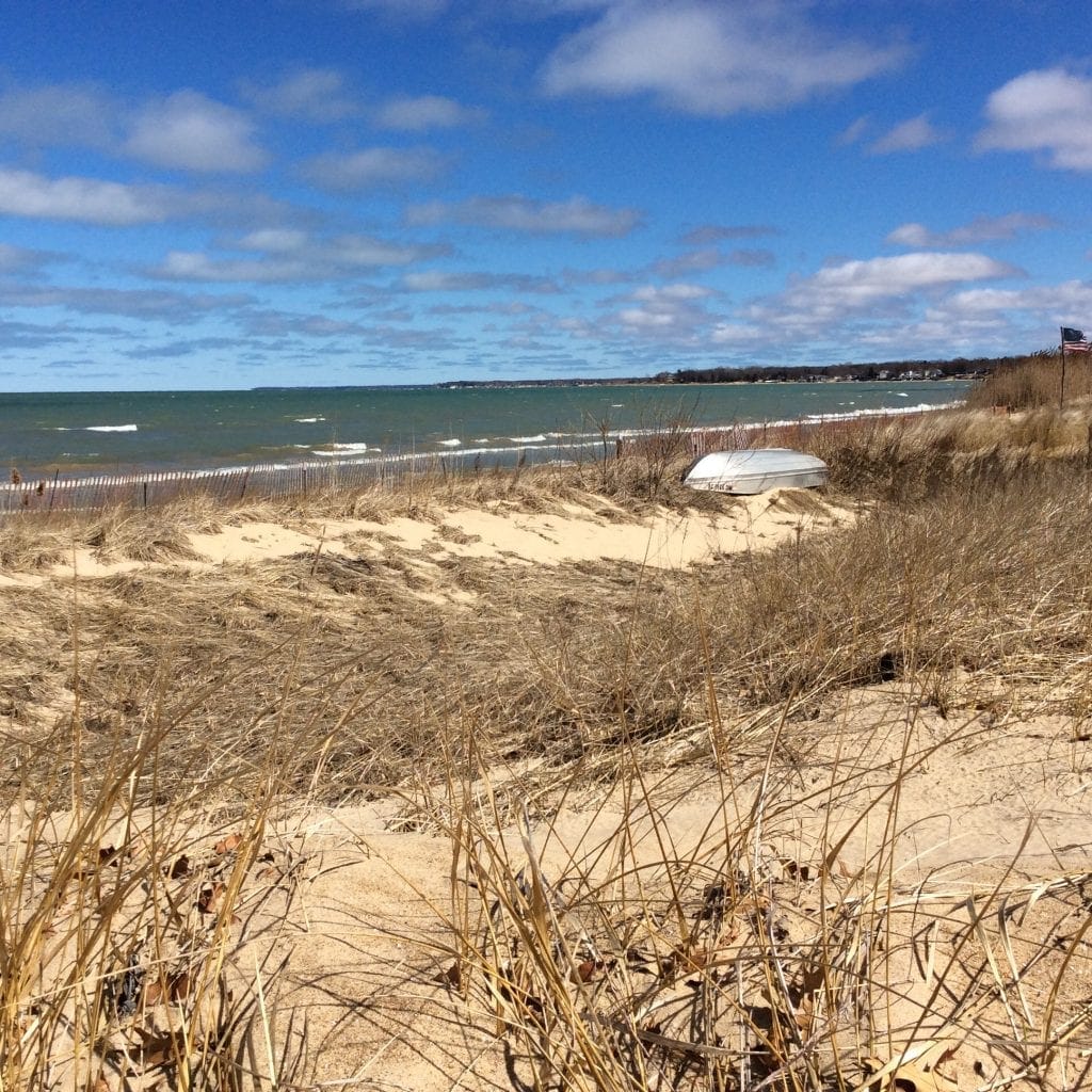 Saginaw Bay Shore