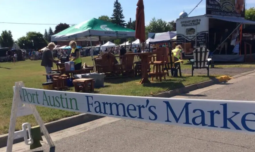 Find Treasure at Port Austin Market Every Summer Weekend