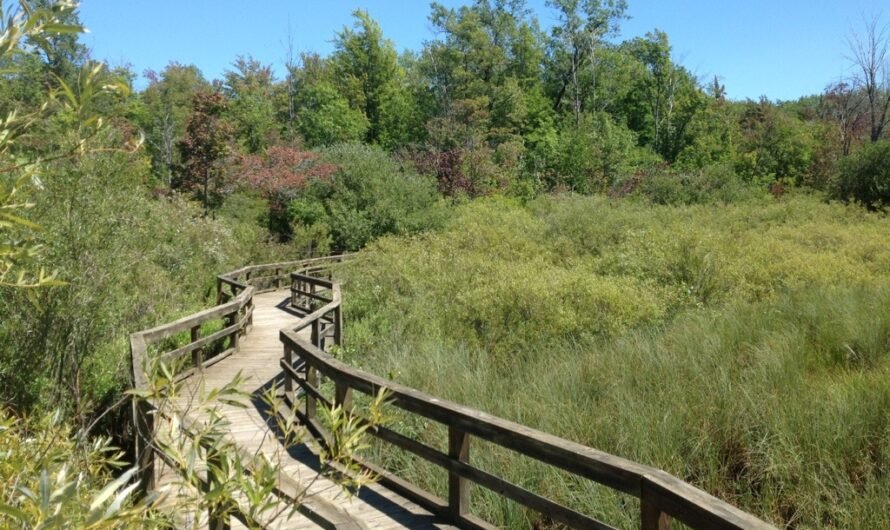Discover Huron County Nature Center: Free Hiking and Biking Trails in The Upper Thumb