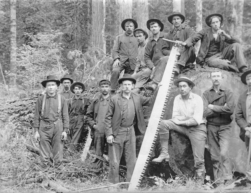 Loggers-two-man-saw - Vanished Company Town
