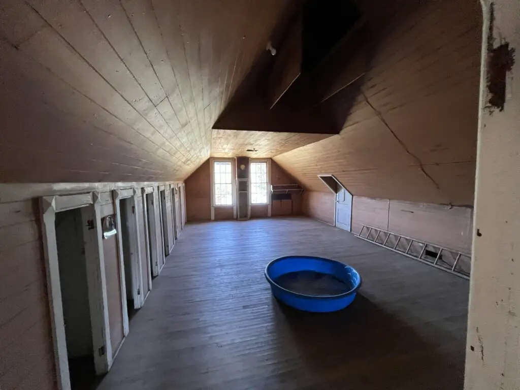 a room with a blue bowl on the floor