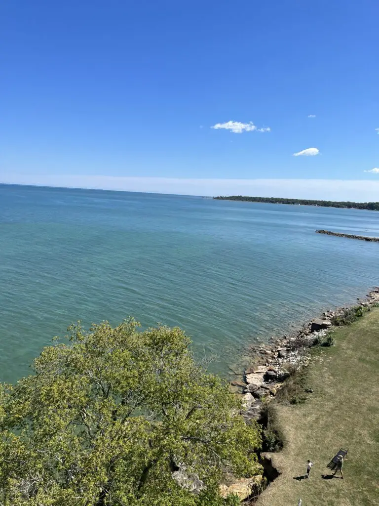 a body of water with grass and rocks