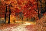 Fall Color Tour - Pixabay CC0