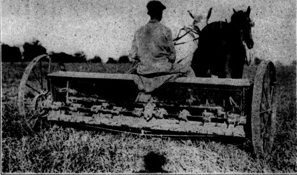 Michigan Jewish Colony - Farming