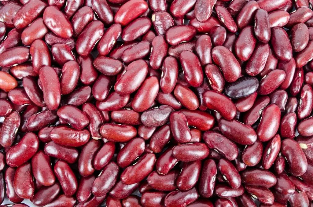 Michigan Kidney Beans - Michigan Food