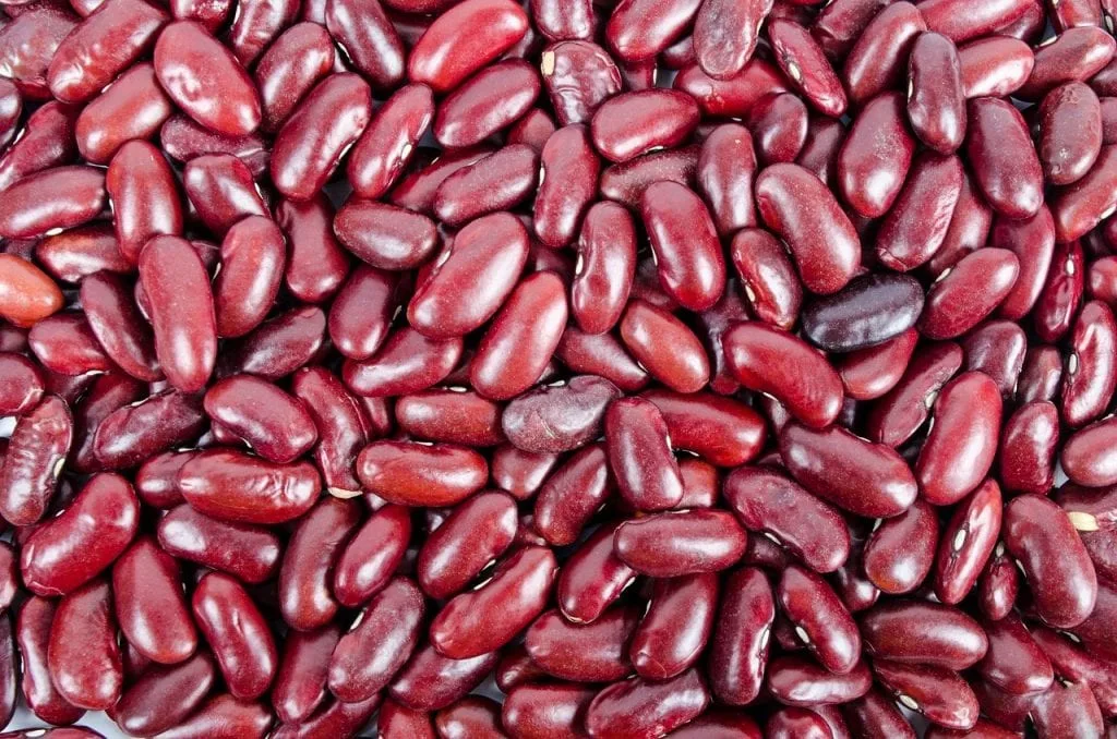 Michigan Kidney Beans - Michigan Food