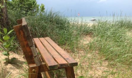 Saginaw Bay Beach