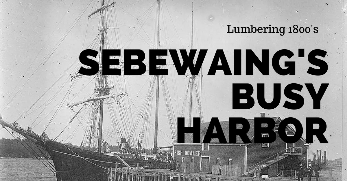 Sebwaings busy harbor