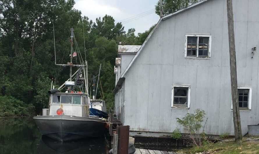 The Fish Market at Bay Port