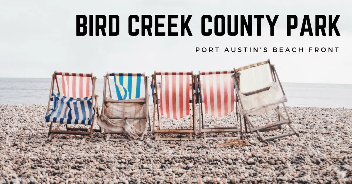 Discover Bird Creek County Park – Port Austin’s Beach Haven