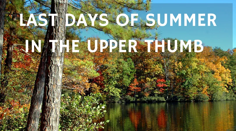 Last Days of Summer