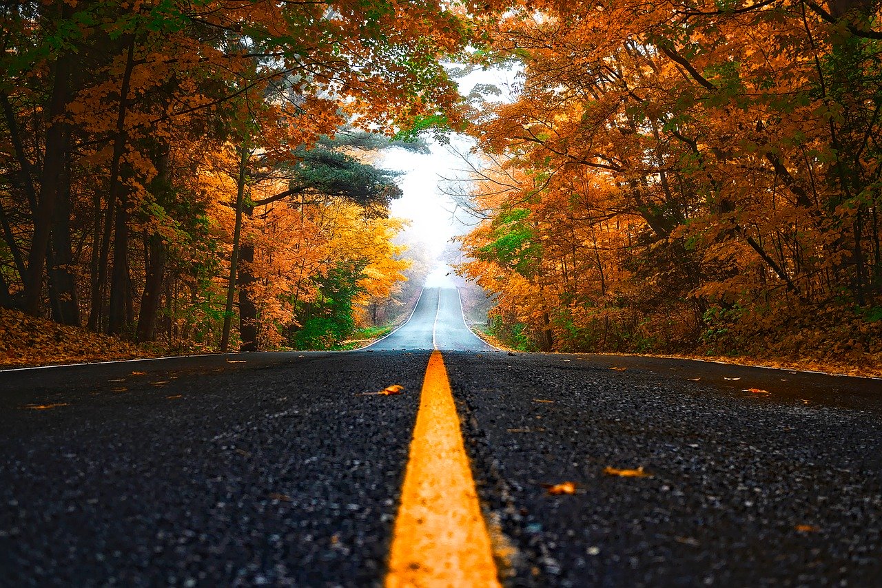 Fall in Michigan's Thumb - Michigan Fall Colors