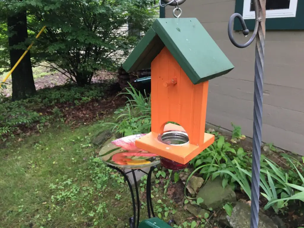 Attract Orioles