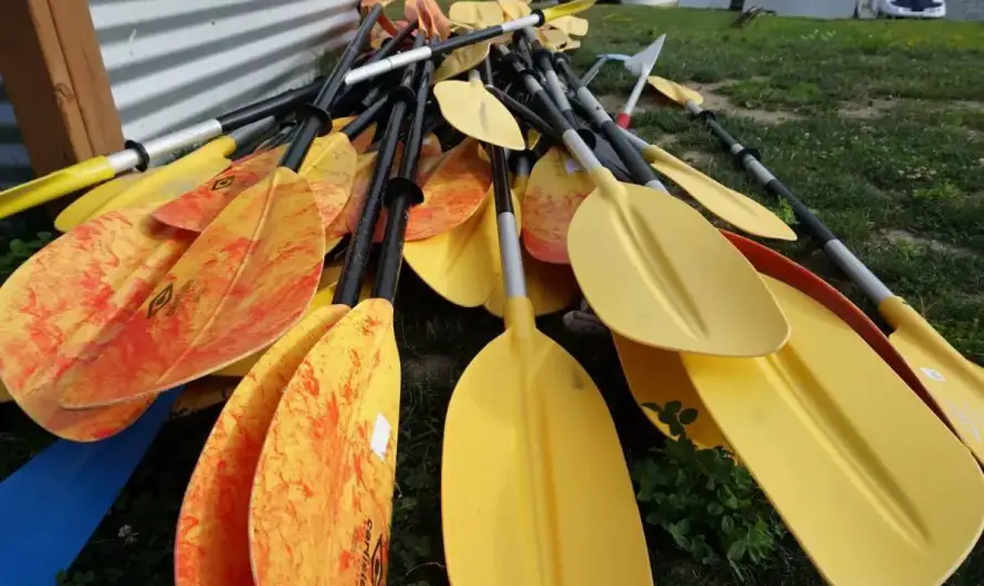 3 Awesome Michigan Kayaking Ideas In The Upper Thumb