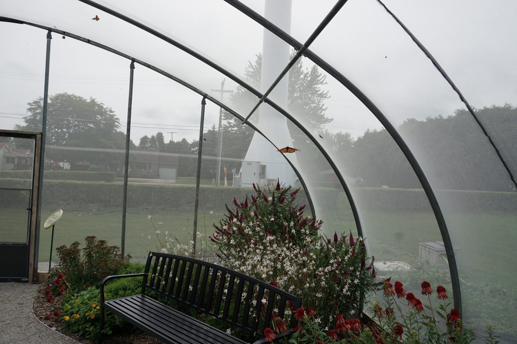 Port Austin Butterfly House